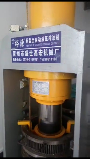 全自动液压榨油机